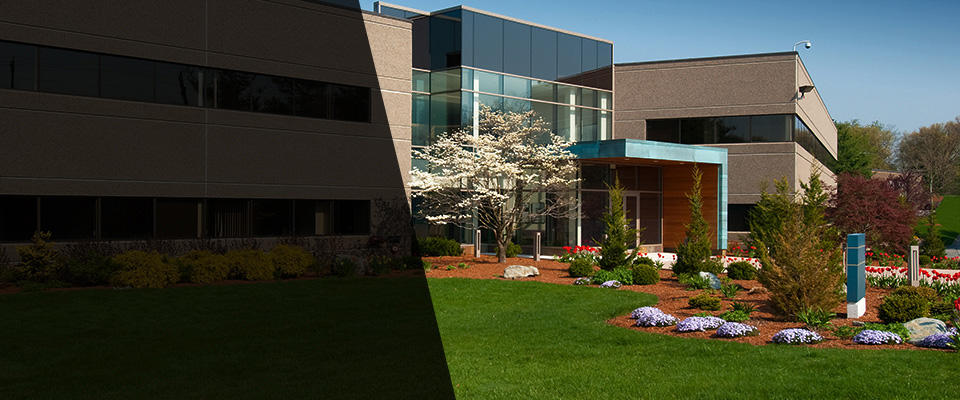 Hollister Landscapers