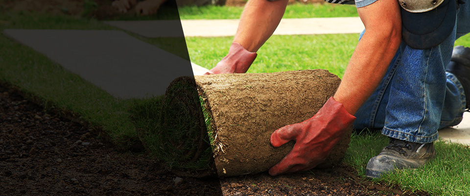 Hollister Landscapers